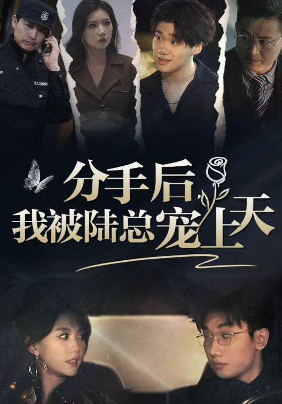 电影：分手后，我被陆总宠上天