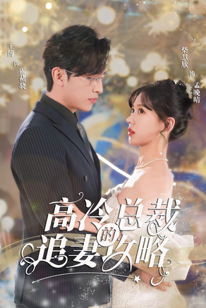 电影：高冷总裁的追妻攻略