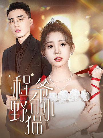 电影：程爷的小野猫