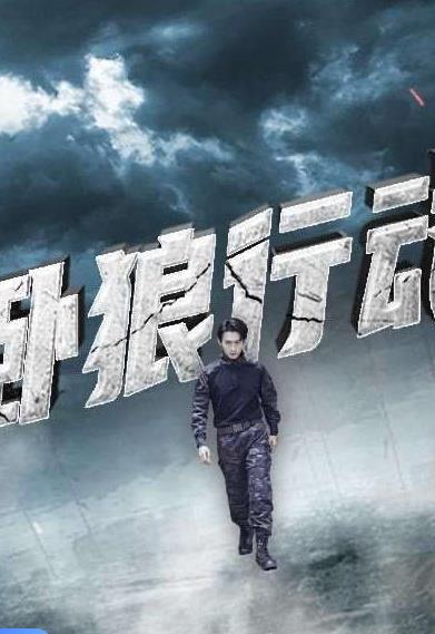 电影：卧狼行动2024