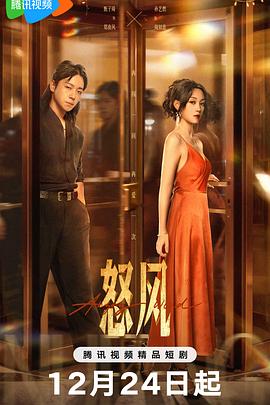 电影:怒风