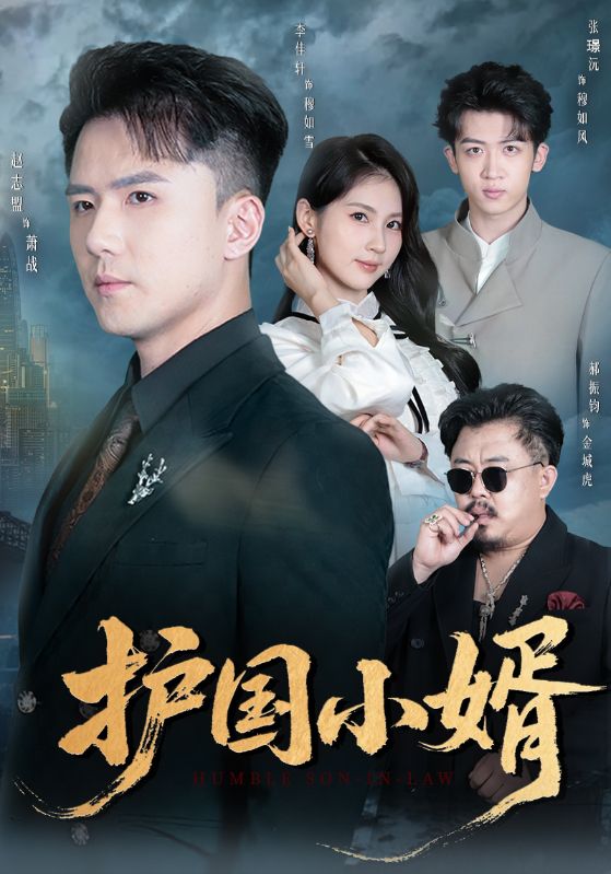 电影:护国小婿