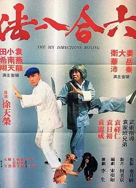 电影:六合八法