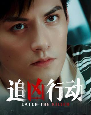 电影:追凶行动