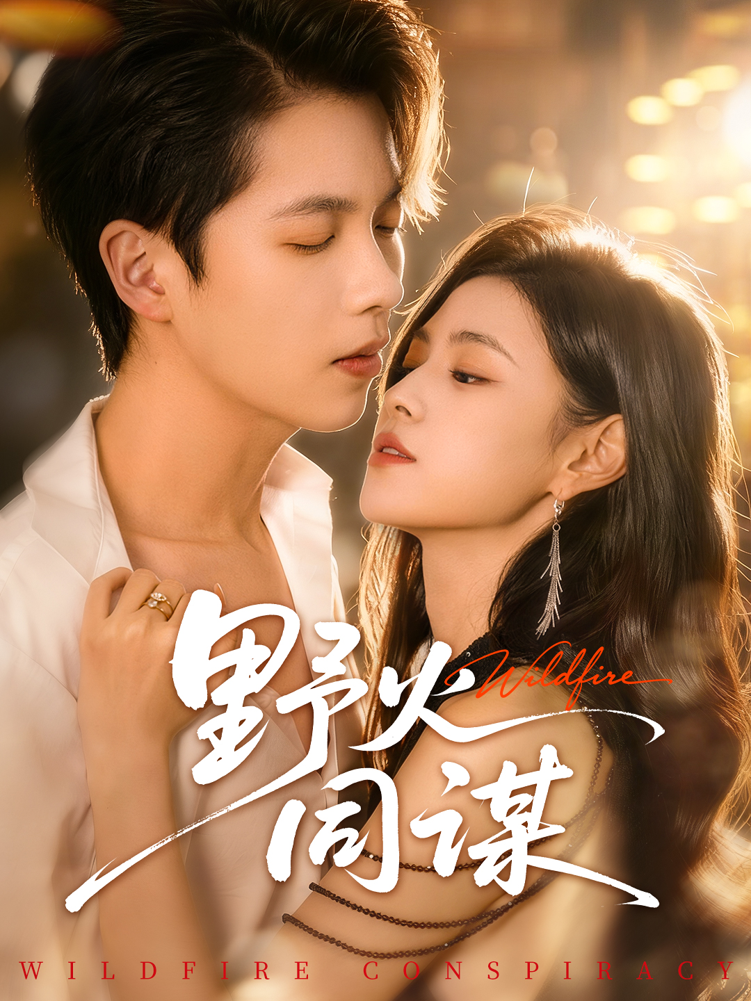 电影：野火同谋