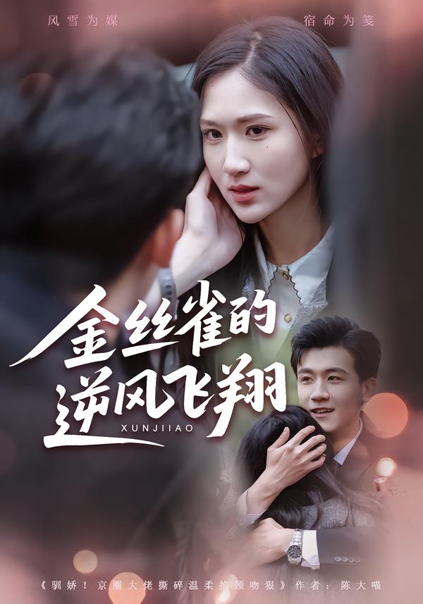 电影：金丝雀的逆风飞翔