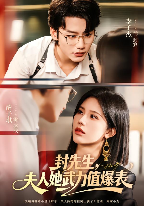 电影:封先生,夫人她武力值爆表