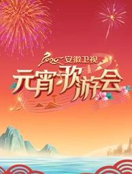 电影:2026安徽卫视元宵歌游会