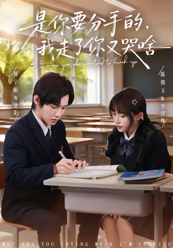 电影：是你要分手的，我走了你又哭啥
