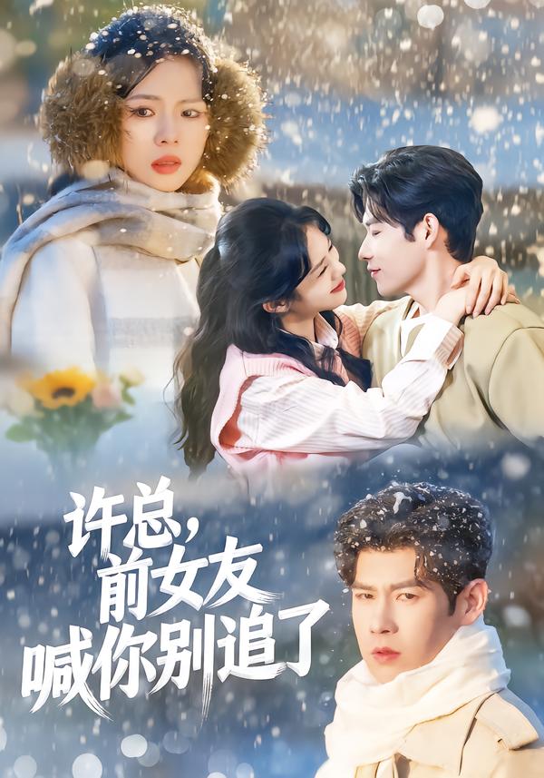 电影：许总，前女友喊你别追了