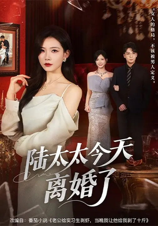 电影：陆太太今天离婚了