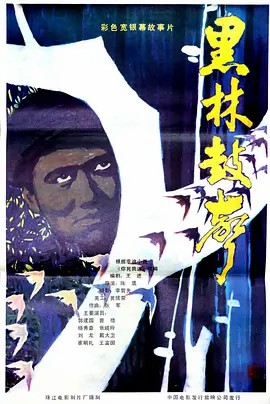 电影：黑林鼓声