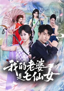 电影：我的老婆是七仙女