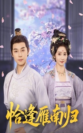 电影：恰逢雁南归