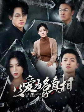 电影：以爱为名的真相