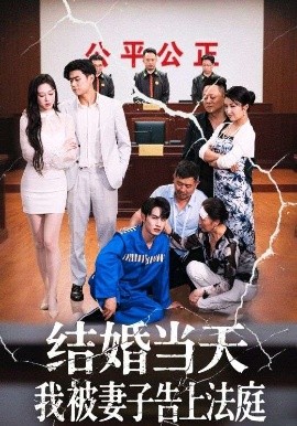 电影：结婚当天我被妻子告上法庭