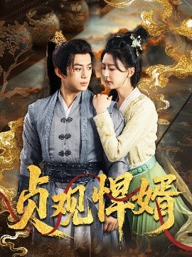 电影：贞观悍婿