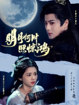 电影：明月何时照惊鸿