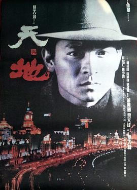 电影:天与地国语