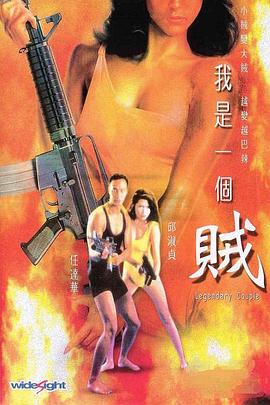 电影：我是一个贼国语
