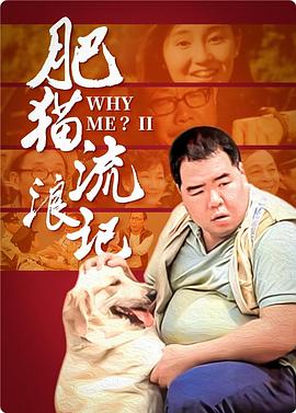 电影：肥猫流浪记粤语