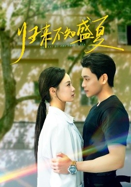 电影：归来不知盛夏