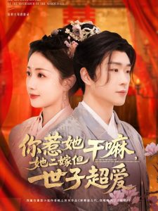 电影：你惹她干嘛，她二嫁但世子超爱