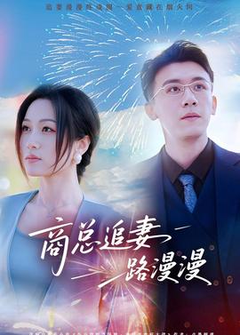 电影：商总追妻路漫漫