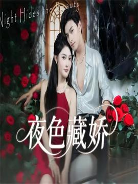 电影：夜色藏娇