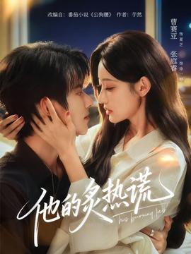 电影：他的炙热谎