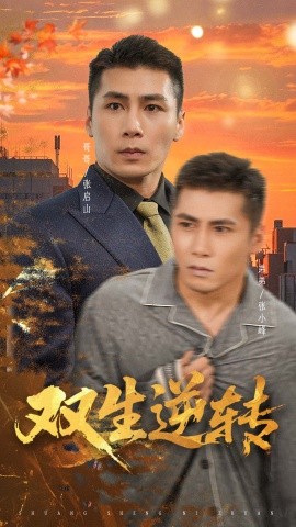 电影：双生逆转