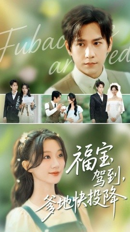 电影：福宝驾到，爹地快投降