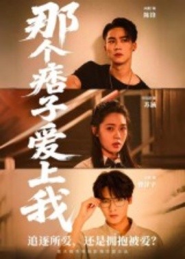电影：那个痞子爱上我