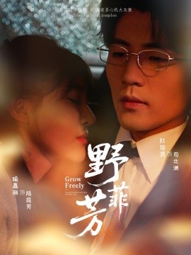 电影：野芳菲