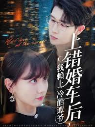 电影：上错婚车后我赖上冷酷谭爷