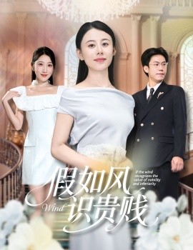 电影：假如风识贵贱
