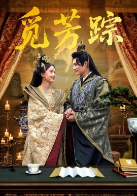 电影：觅芳踪