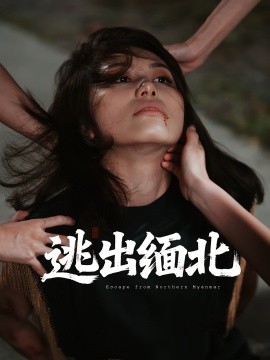 电影：逃出缅北