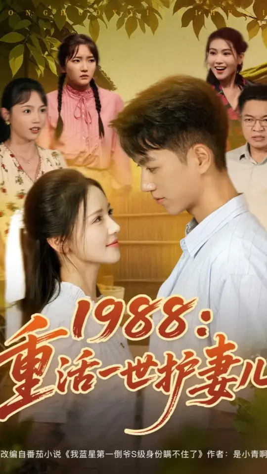 电影：1988重活一世护妻儿