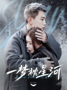 电影：一梦枕星河