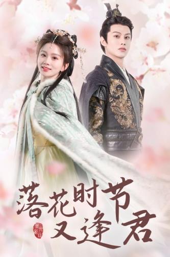 电影：落花时节又逢君短剧