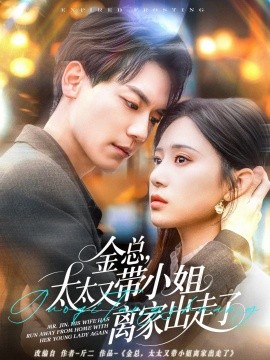 电影：金总，太太又带小姐离家出走了