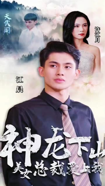 电影：神龙下山，美女总裁爱上我