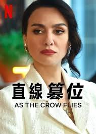 电影：直线篡位