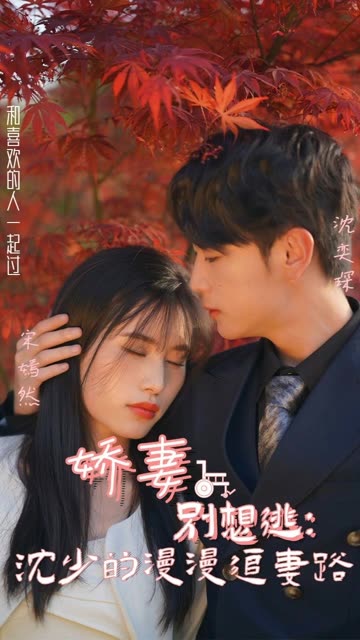 电影：娇妻别想逃：沈少的漫漫追妻路