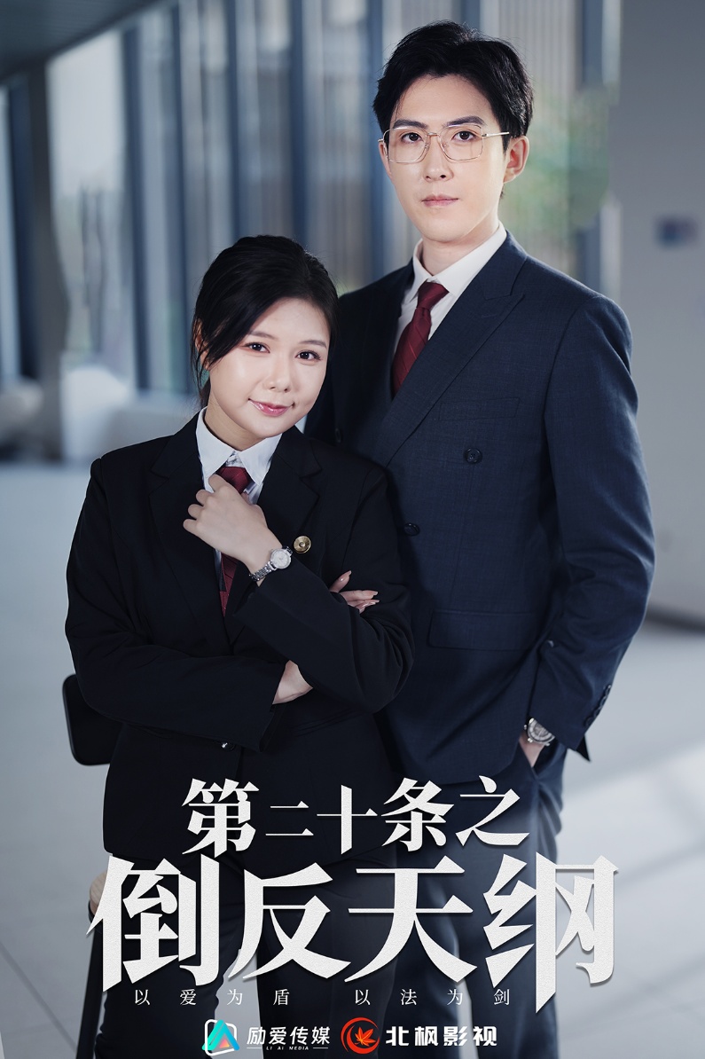 电影：第二十条之倒反天纲
