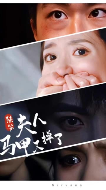 电影：陆爷，夫人马甲又掉了