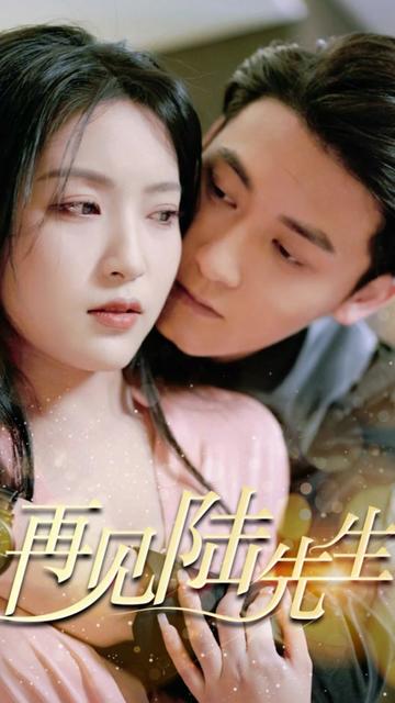 电影：再见陆先生