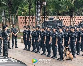 电影：女特警2024