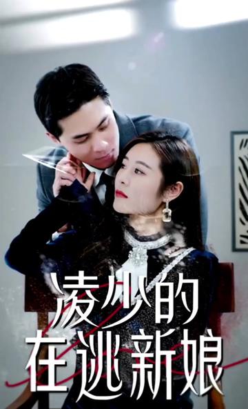 电影：凌少的在逃新娘